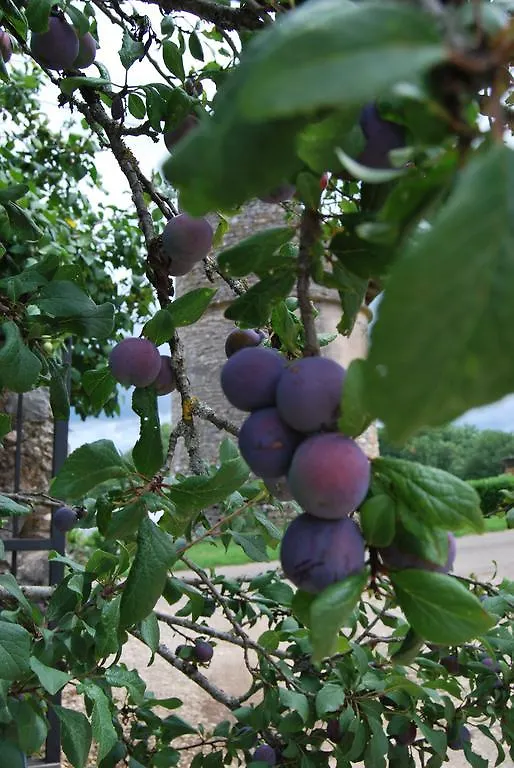 Mas De Garrigue Bed & Breakfast Calvignac